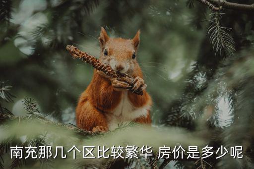 南充那幾個(gè)區(qū)比較繁華 房價(jià)是多少呢