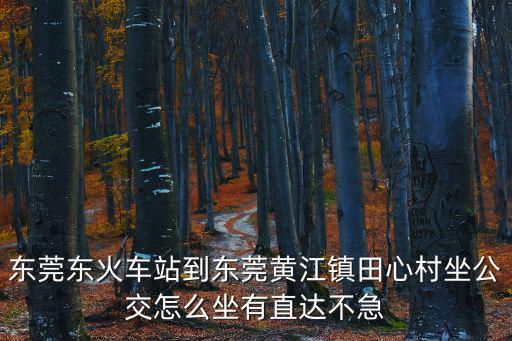 東莞東火車站到東莞黃江鎮(zhèn)田心村坐公交怎么坐有直達(dá)不急