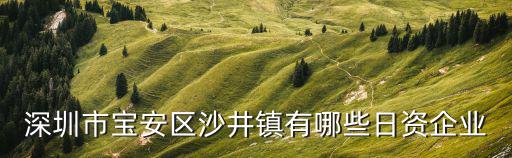 深圳市寶安區沙井鎮有哪些日資企業