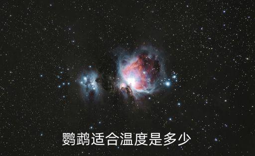 鸚鵡適合溫度是多少