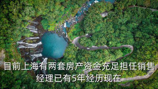 目前上海有兩套房產資金充足擔任銷售經理已有5年經歷現在