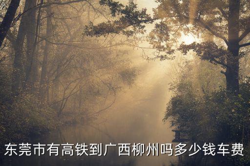 東莞市有高鐵到廣西柳州嗎多少錢車費