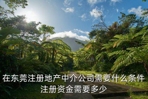 在東莞注冊地產中介公司需要什么條件注冊資金需要多少
