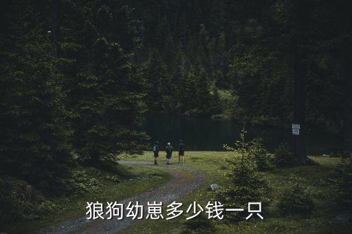 狼狗幼崽多少錢一只