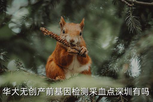 深圳哪里可以做華大無創基因檢測，華大無創產前基因檢測采血點深圳有嗎