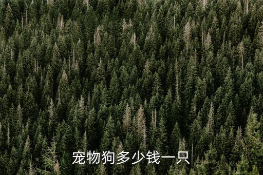寵物狗多少錢一只