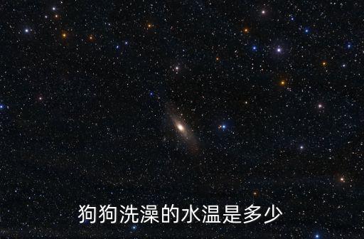 狗狗洗澡的水溫是多少
