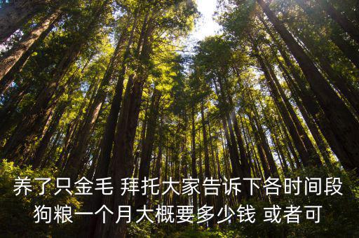養條大金毛一天多少錢，養一只金毛犬需要多少錢呢