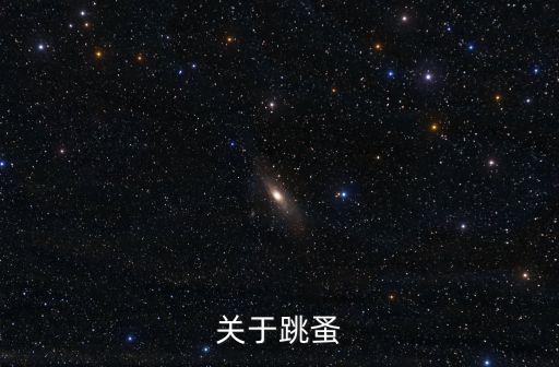 關于跳蚤