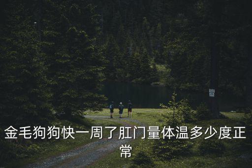 金毛狗狗快一周了肛門量體溫多少度正常