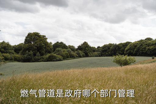 燃?xì)夤艿朗钦膫€(gè)部門管理