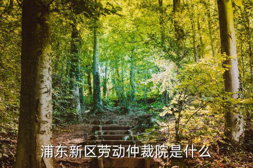 浦東新區(qū)勞動(dòng)仲裁院是什么