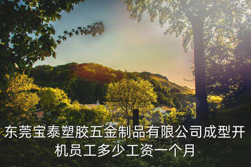 東莞寶泰塑膠五金制品有限公司成型開機員工多少工資一個月