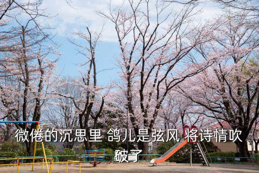 深圳恩霖鴿舍 章偉恩，微倦的沉思里 鴿兒是弦風 將詩情吹破了