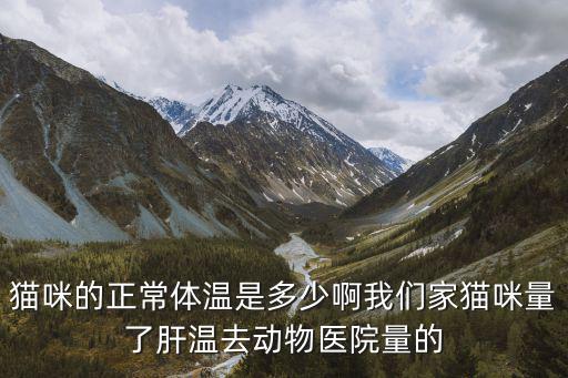 貓咪的正常體溫是多少啊我們家貓咪量了肝溫去動物醫院量的