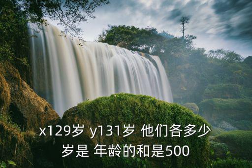x129歲 y131歲 他們各多少歲是 年齡的和是500