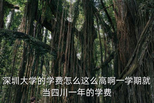 深圳大學的學費怎么這么高啊一學期就當四川一年的學費