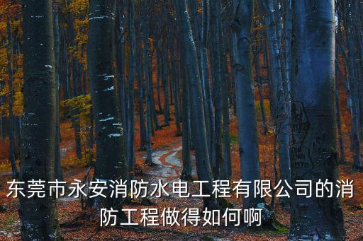 東莞市永安消防水電工程有限公司的消防工程做得如何啊