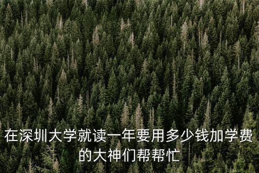 深圳讀完大學一年多少錢，在深圳大學就讀一年要用多少錢加學費的大神們幫幫忙