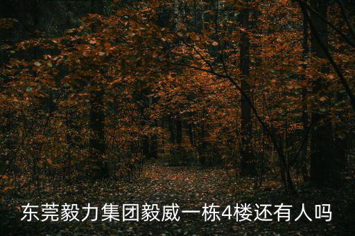 東莞毅力集團毅威一棟4樓還有人嗎