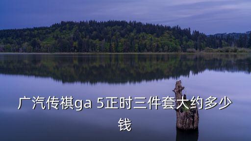 廣汽傳祺ga 5正時三件套大約多少錢