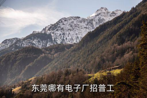 東莞哪有電子廠招普工