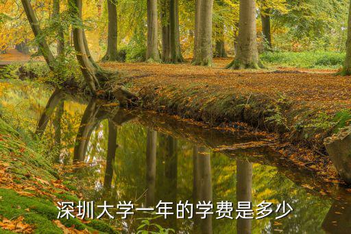 深圳大學(xué)一年的學(xué)費(fèi)是多少
