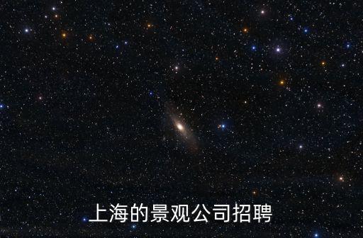 上海市商貿旅游學校 招聘，上海的景觀公司招聘