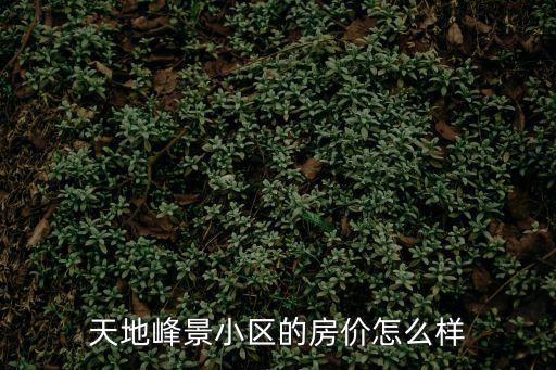 天地峰景小區的房價怎么樣