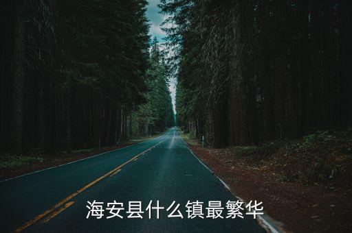 海安縣什么鎮(zhèn)最繁華