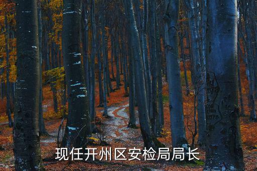 現(xiàn)任開州區(qū)安檢局局長(zhǎng)