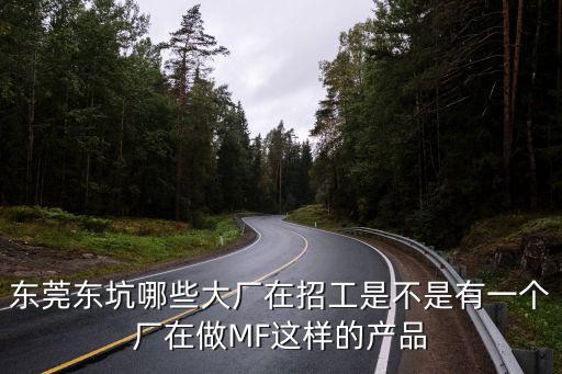 東莞東坑哪些大廠在招工是不是有一個廠在做MF這樣的產品
