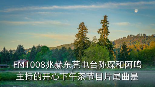 FM1008兆赫東莞電臺孫琛和阿鳴主持的開心下午茶節目片尾曲是