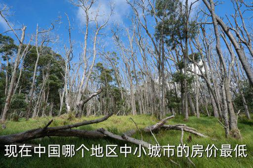 現(xiàn)在中國哪個地區(qū)中小城市的房價最低