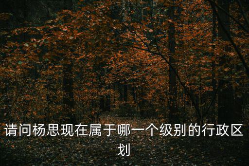 請問楊思現在屬于哪一個級別的行政區劃