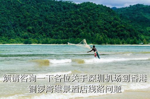 深圳市回品酒店去深圳灣，維多利亞港怎樣回深圳灣要具體線路以及票價
