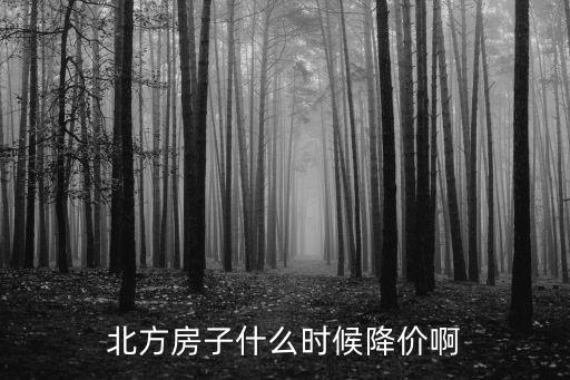 北方房子什么時候降價啊