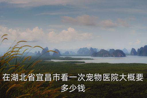 在湖北省宜昌市看一次寵物醫院大概要多少錢