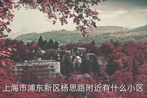 上海市浦東新區楊思路附近有什么小區