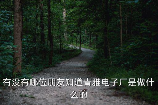 有沒有哪位朋友知道青雅電子廠是做什么的