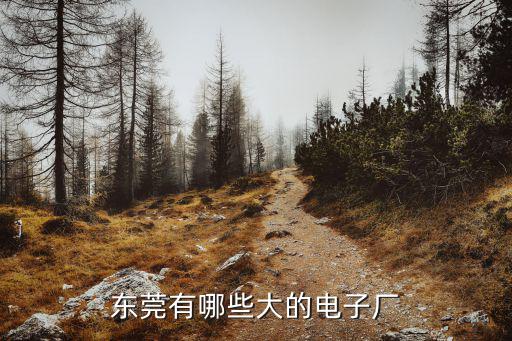 東莞有哪些大的電子廠