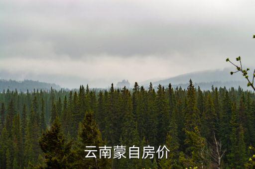 云南蒙自房價