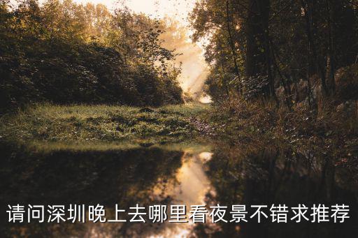 請(qǐng)問深圳晚上去哪里看夜景不錯(cuò)求推薦