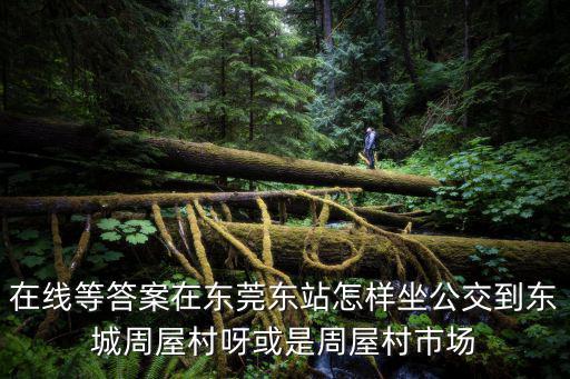 在線等答案在東莞東站怎樣坐公交到東城周屋村呀或是周屋村市場