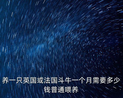 養(yǎng)一只英國或法國斗牛一個(gè)月需要多少錢普通喂養(yǎng)