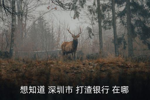 想知道 深圳市 打渣銀行 在哪