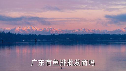 廣東有魚排批發商嗎