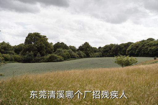 東莞清溪哪個廠招殘疾人
