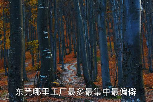 東莞哪里工廠最多最集中最偏僻