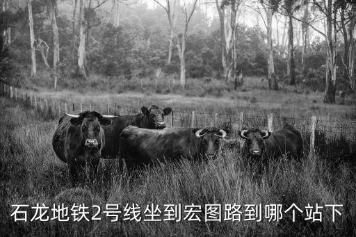 石龍地鐵2號線坐到宏圖路到哪個站下